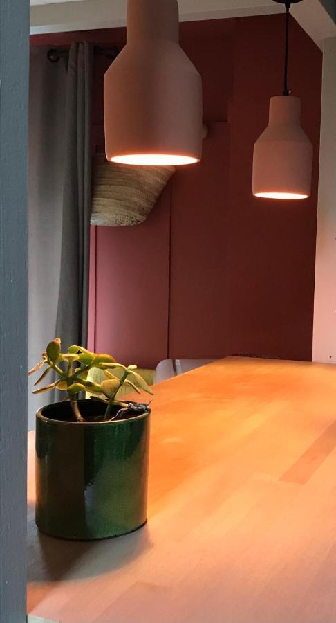Appartement Douillet, Plein Centre لا شامبون-سر-لينغون المظهر الخارجي الصورة